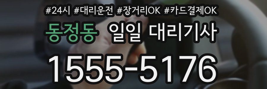 동정동 일일 대리기사