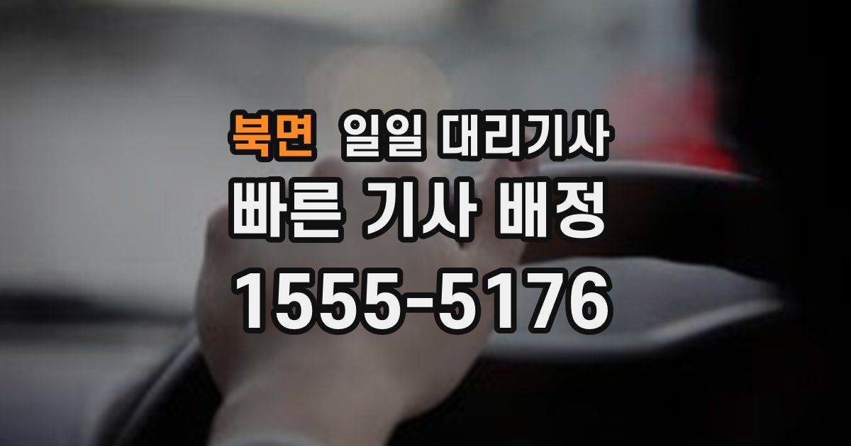 북면 일일 대리기사