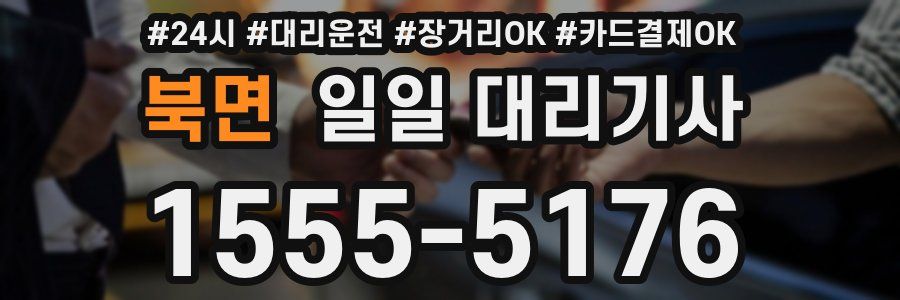 북면 일일 대리기사