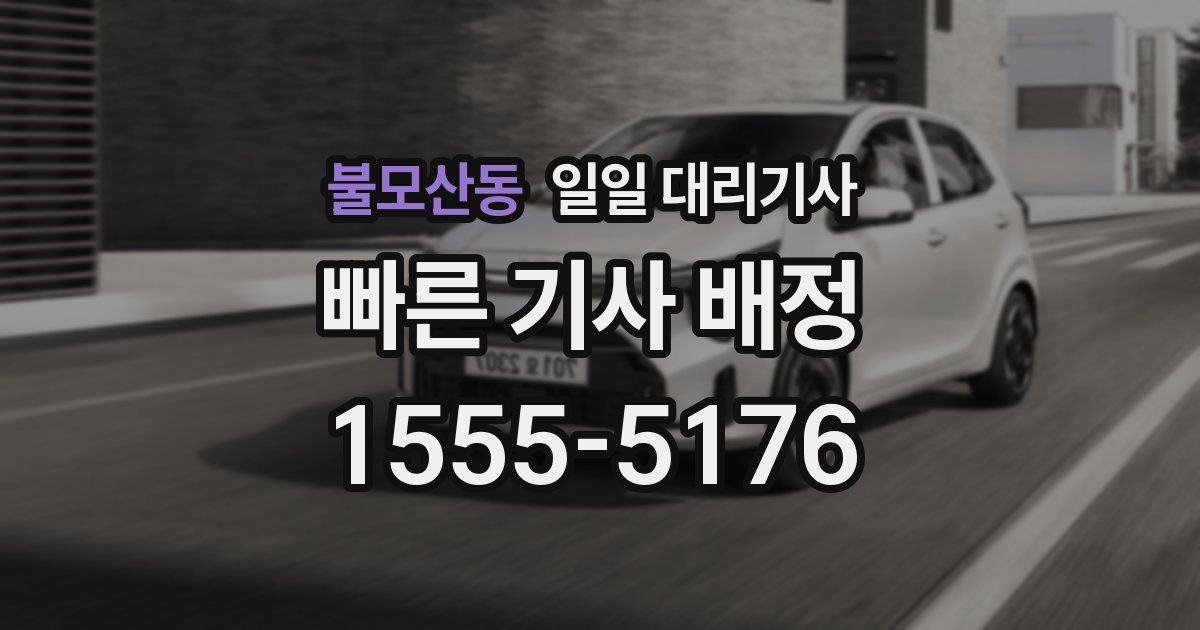 불모산동 일일 대리기사