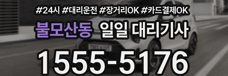 불모산동 일일 대리기사