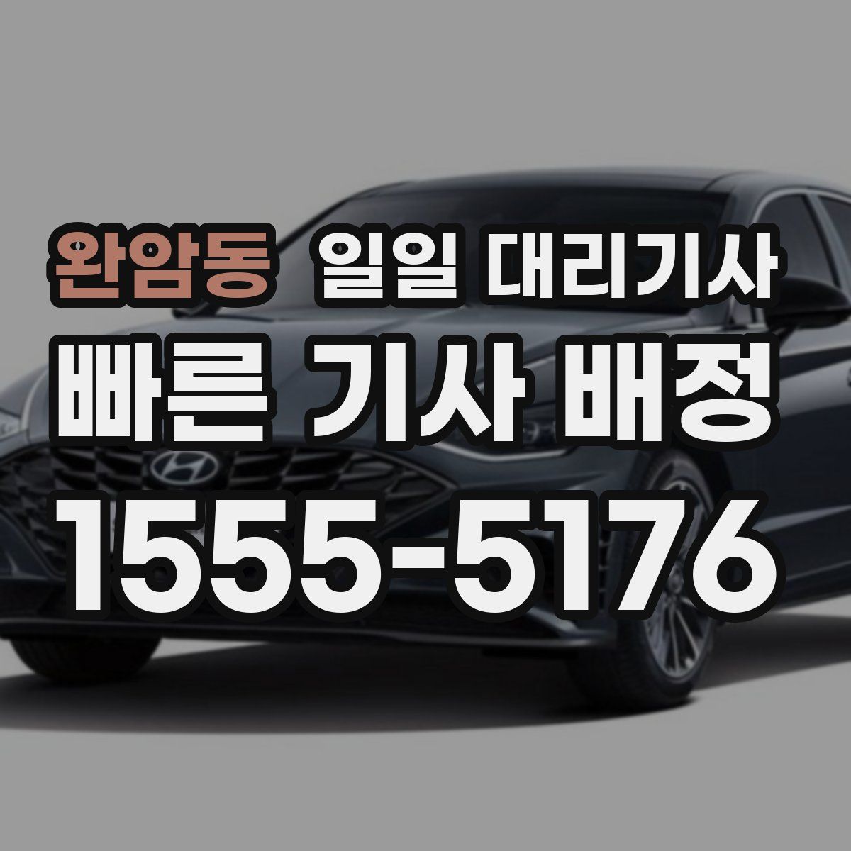 완암동 일일 대리기사
