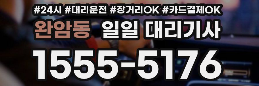 완암동 일일 대리기사
