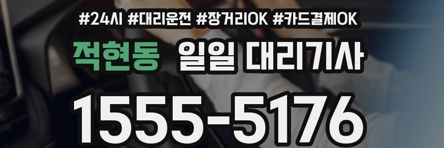 적현동 일일 대리기사