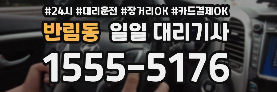 반림동 일일 대리기사