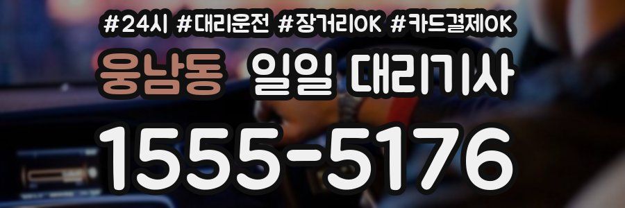 웅남동 일일 대리기사