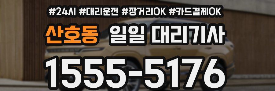 산호동 일일 대리기사