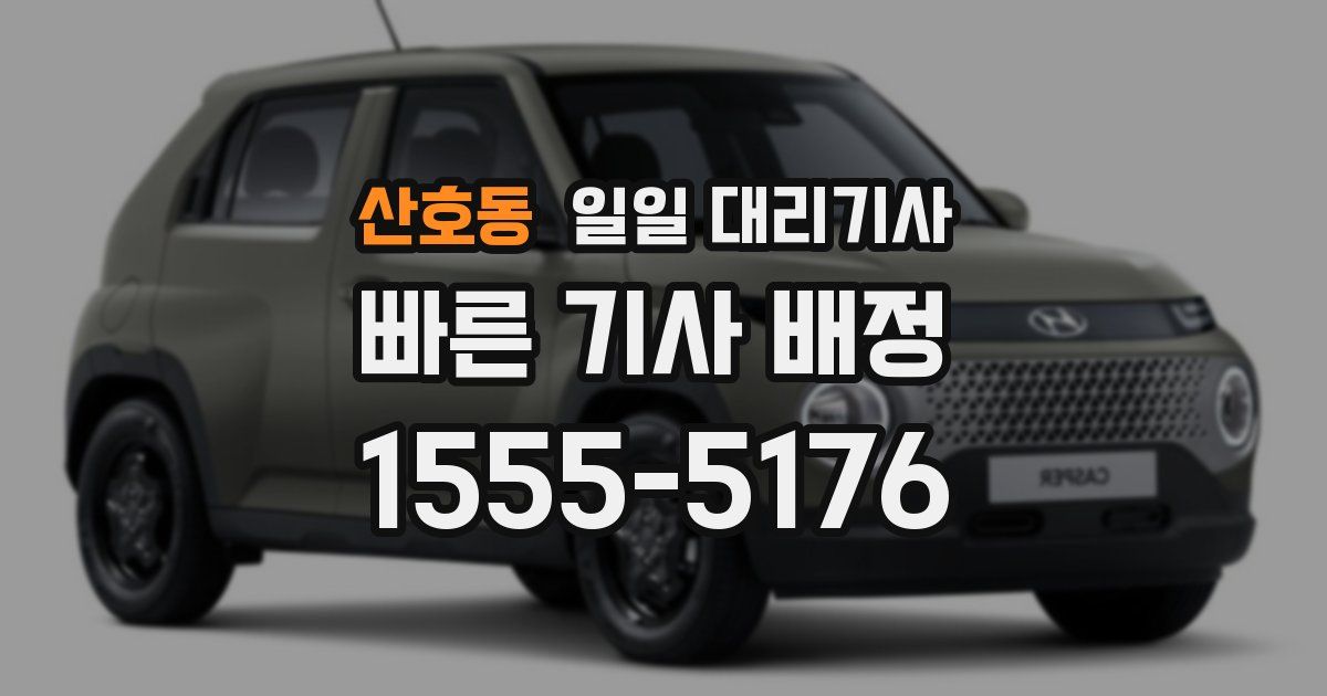 산호동 일일 대리기사