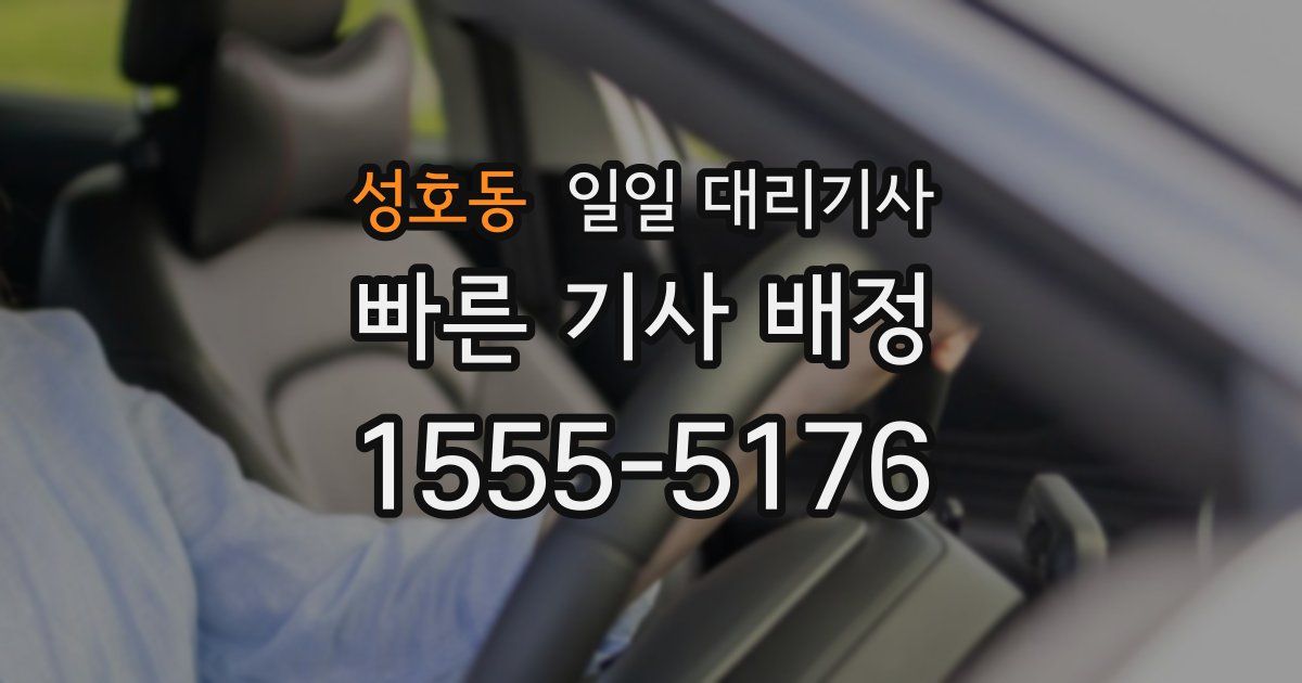 성호동 일일 대리기사