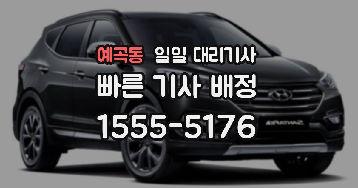 예곡동 일일 대리기사