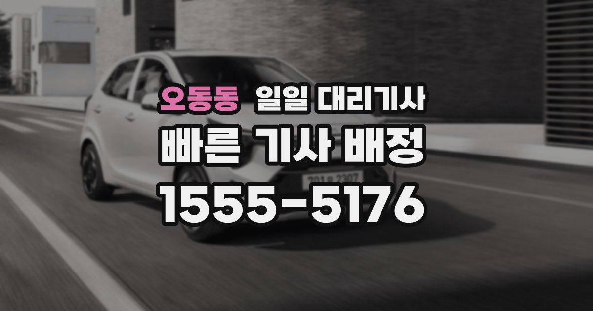 오동동 일일 대리기사
