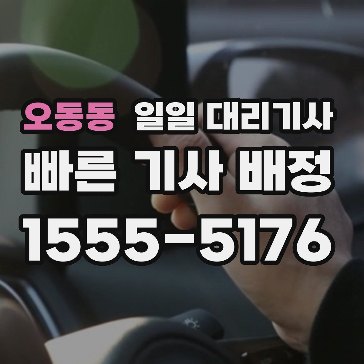 오동동 일일 대리기사