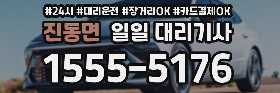 진동면 일일 대리기사