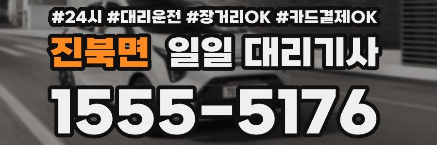 진북면 일일 대리기사