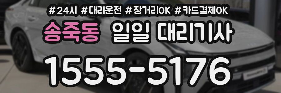 송죽동 일일 대리기사