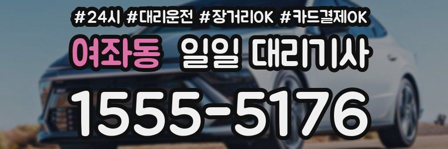 여좌동 일일 대리기사