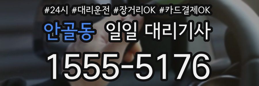 안골동 일일 대리기사