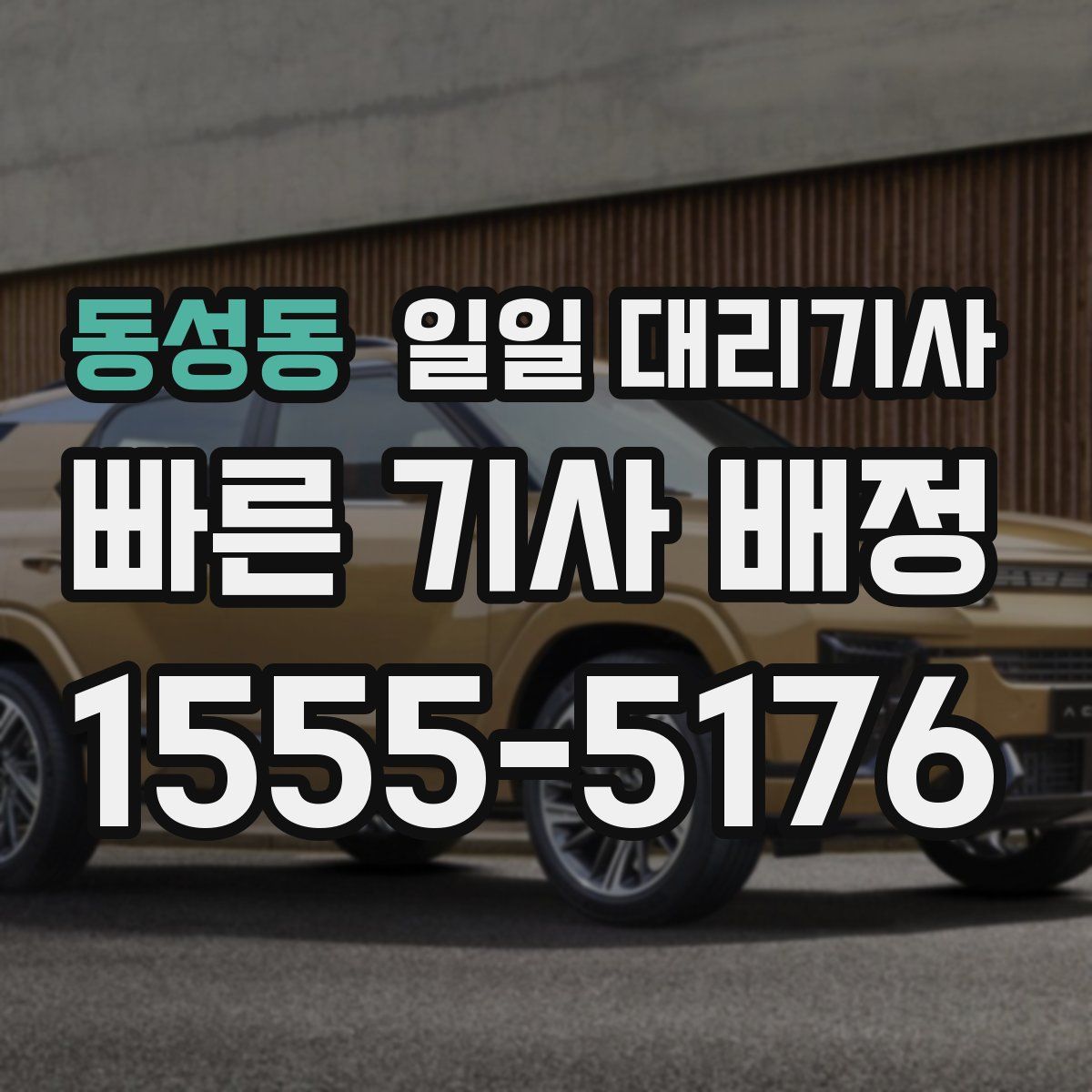 동성동 일일 대리기사