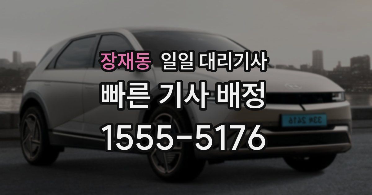 장재동 일일 대리기사