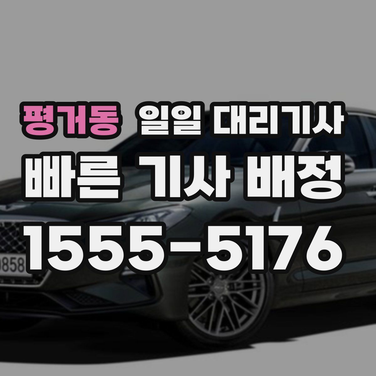 평거동 일일 대리기사