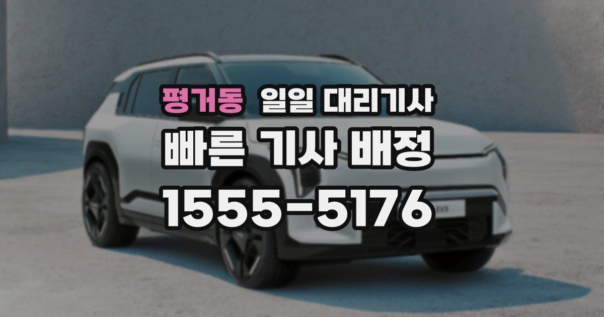 평거동 일일 대리기사
