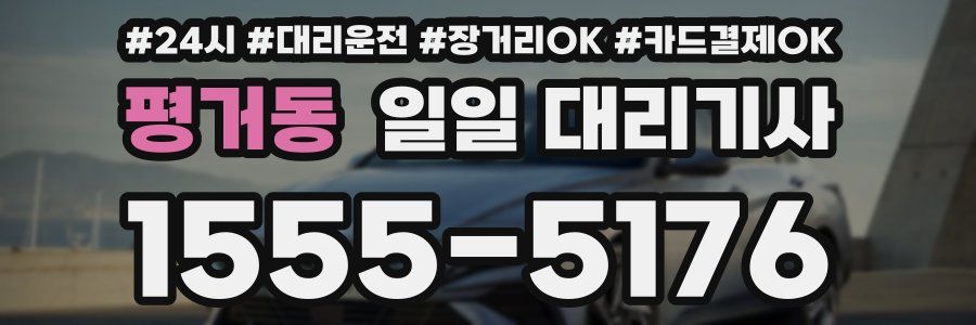 평거동 일일 대리기사