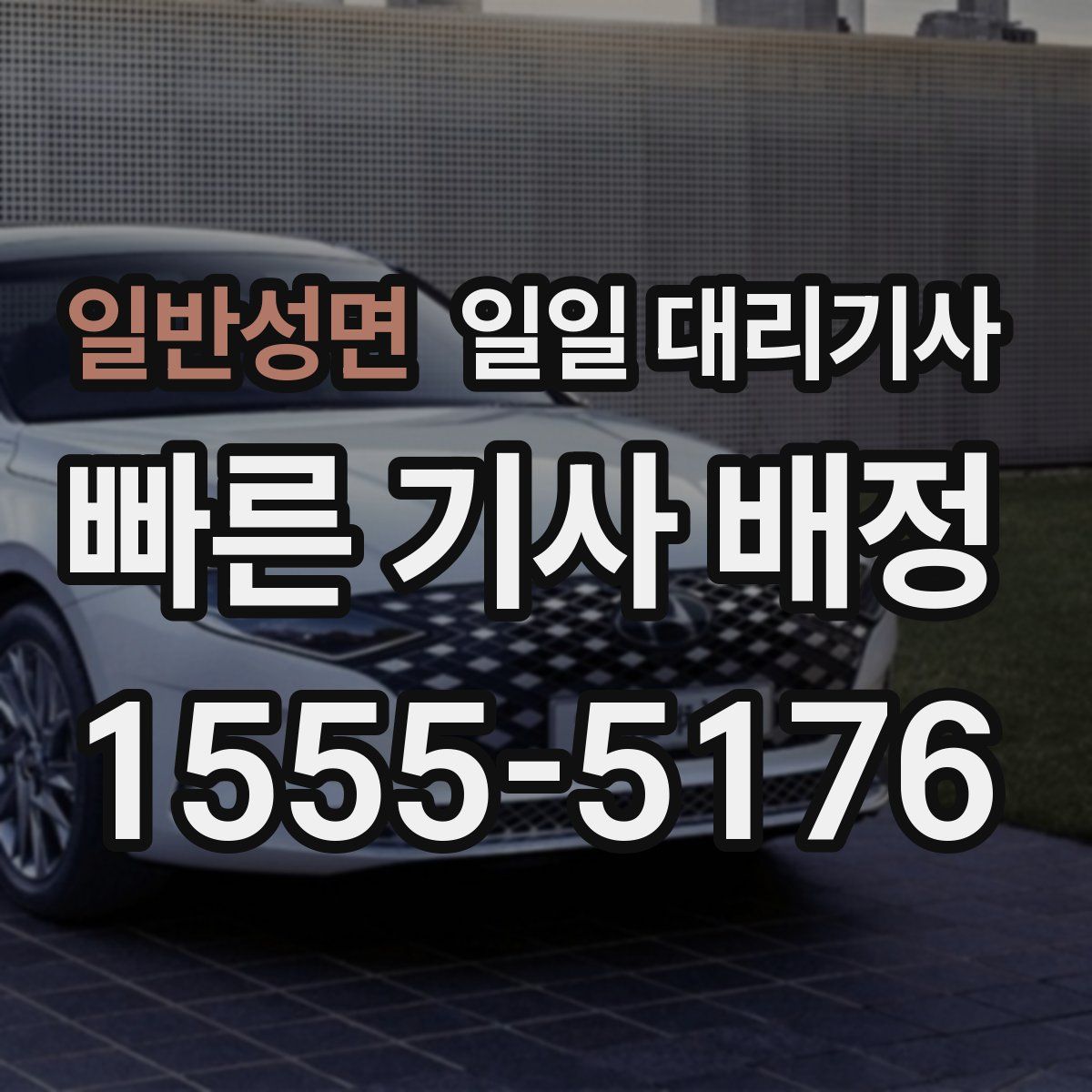 일반성면 일일 대리기사