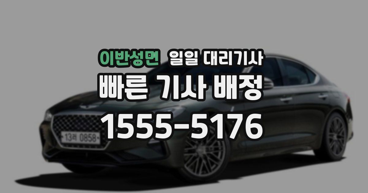 이반성면 일일 대리기사