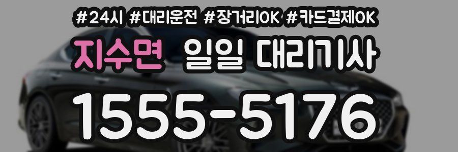 지수면 일일 대리기사