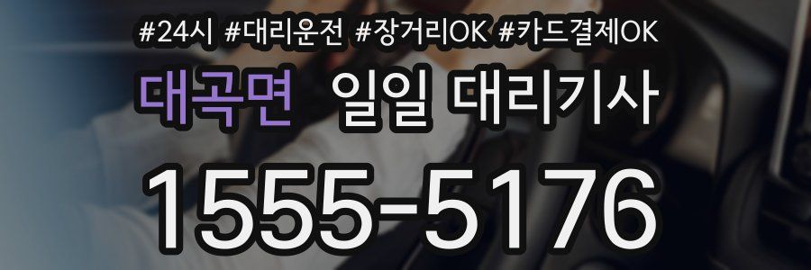 대곡면 일일 대리기사