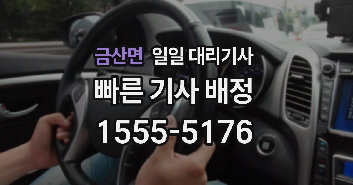 금산면 일일 대리기사
