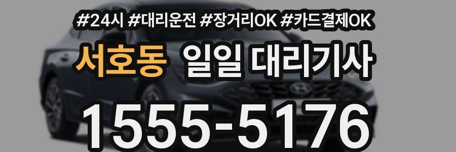 서호동 일일 대리기사