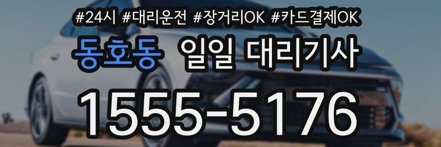 동호동 일일 대리기사
