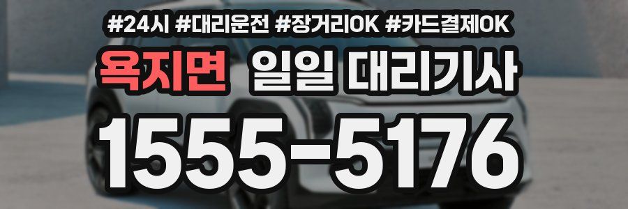 욕지면 일일 대리기사