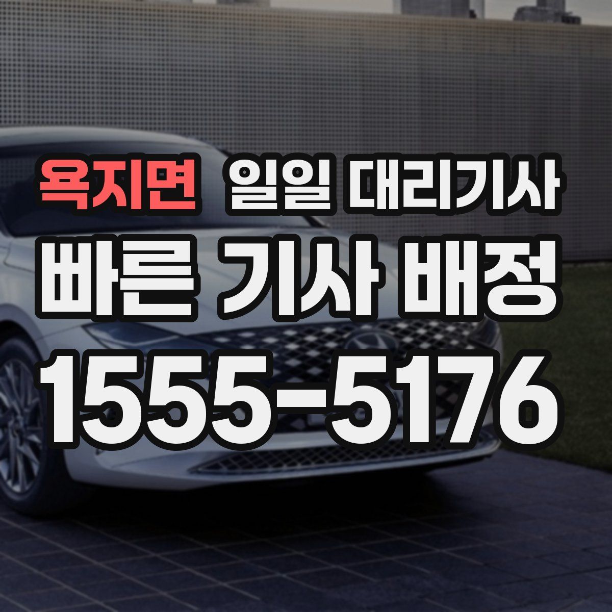욕지면 일일 대리기사