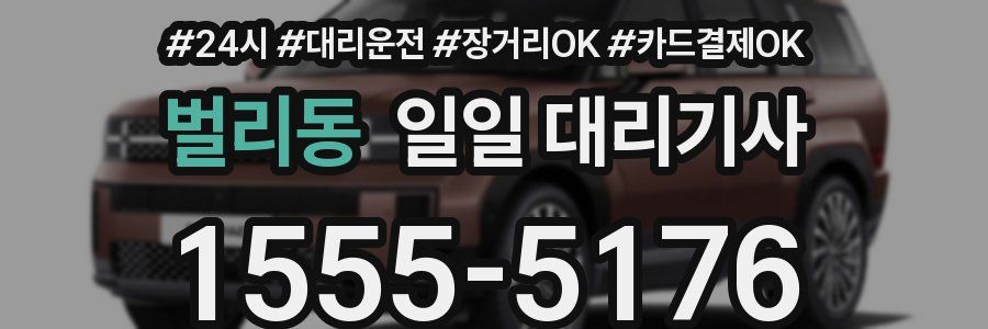 벌리동 일일 대리기사