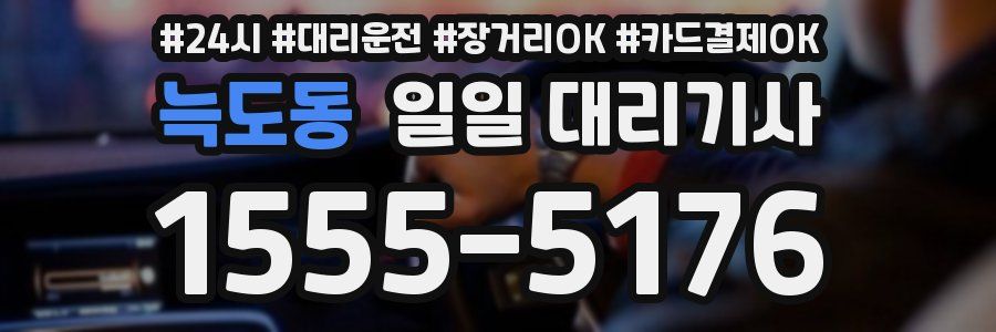 늑도동 일일 대리기사