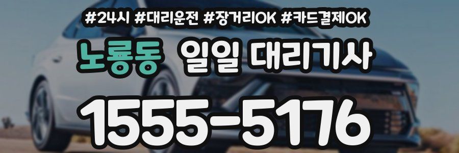 노룡동 일일 대리기사