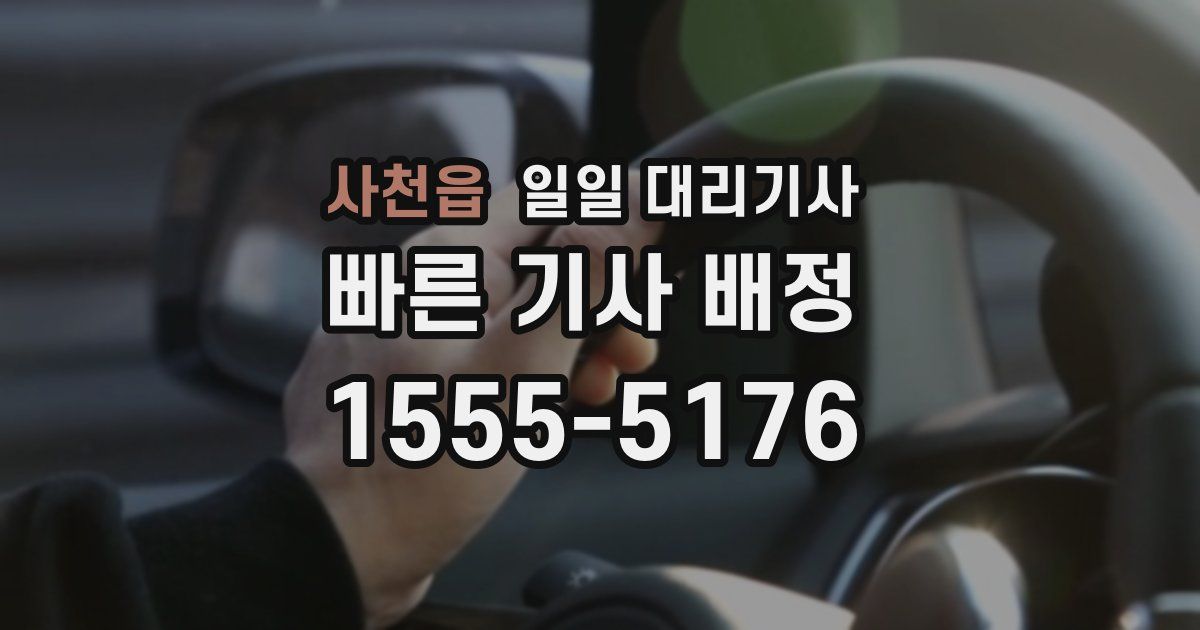 사천읍 일일 대리기사