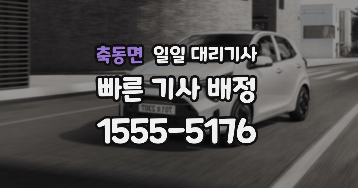 축동면 일일 대리기사