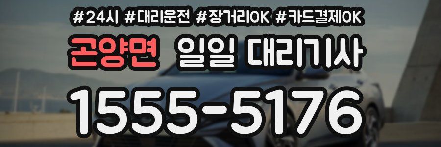 곤양면 일일 대리기사