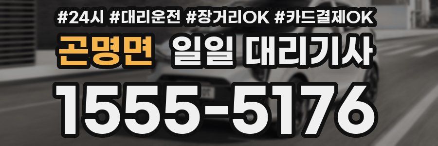 곤명면 일일 대리기사