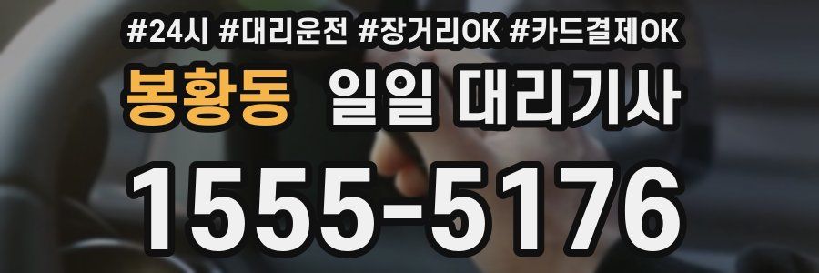 봉황동 일일 대리기사