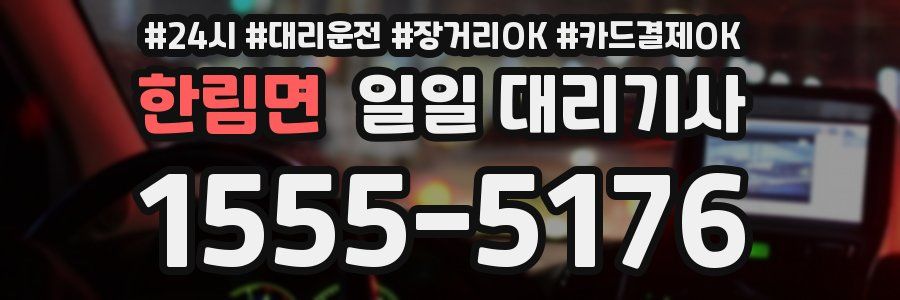 한림면 일일 대리기사