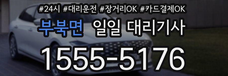부북면 일일 대리기사