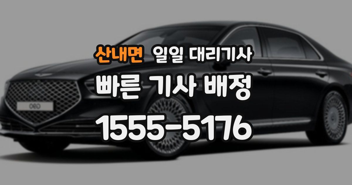 산내면 일일 대리기사