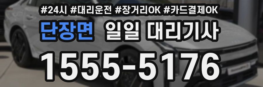 단장면 일일 대리기사