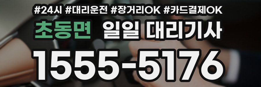 초동면 일일 대리기사