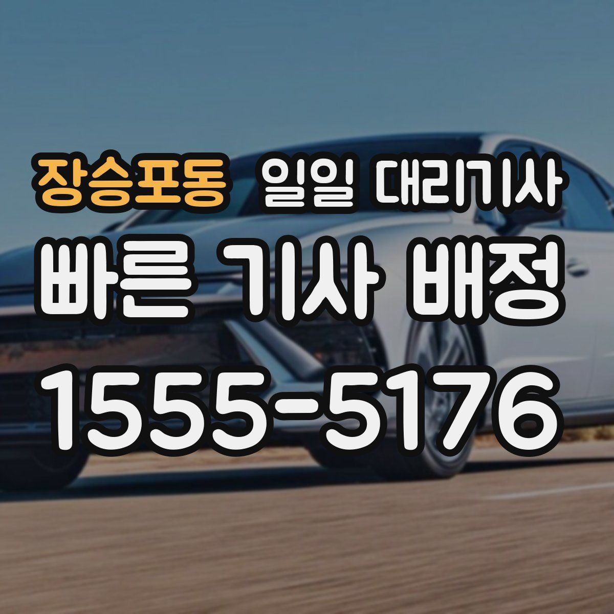 장승포동 일일 대리기사