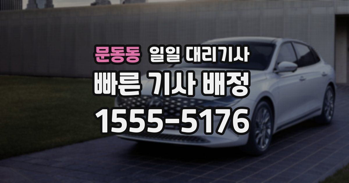 문동동 일일 대리기사